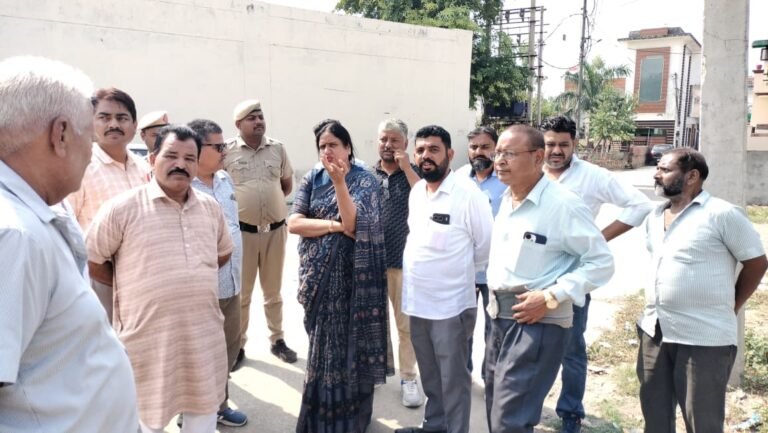 मेयर ने किया चांदपुर फ्लाईओवर के पास खाली पड़ी जमीन का निरीक्षण