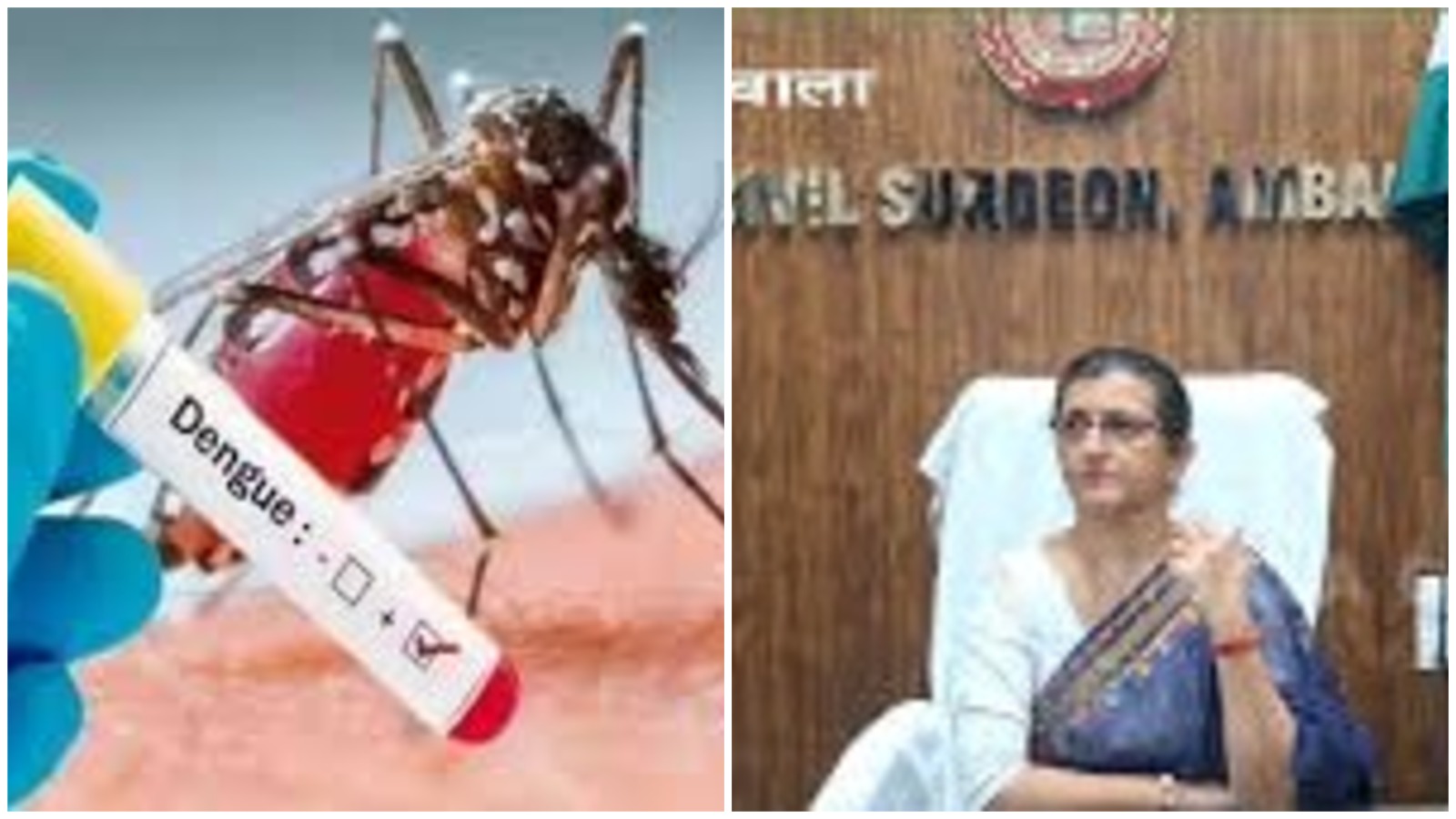 अंबाला में डेंगू-मलेरिया पर स्वास्थ्य विभाग सख्त: सिविल सर्जन डॉ. रेणू बेरी की अपील—सप्ताह में एक दिन मनाएं ‘सूखा दिवस’, प्राइवेट लैब्स के लिए रेट निर्धारित
